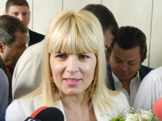 Udrea candidează la şefia PMP